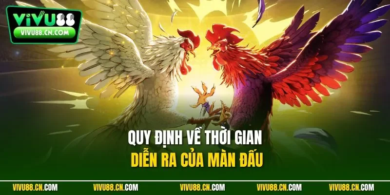 Quy định về thời gian diễn ra của màn đấu