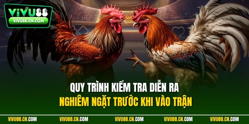 Quy trình kiểm tra diễn ra nghiêm ngặt trước khi vào trận